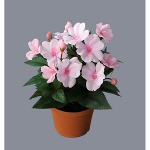 Umělá Netýkavka v květináči růžová, 24 cm